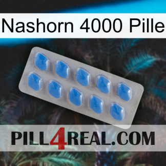 Rhino 4000 Pill 22